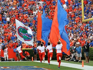 Florida flags