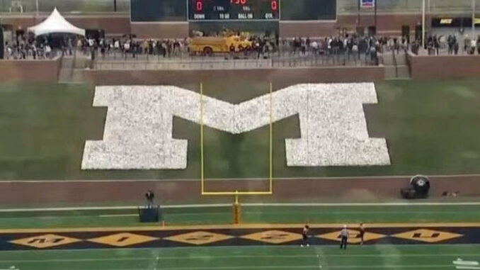 Mizzou end zone