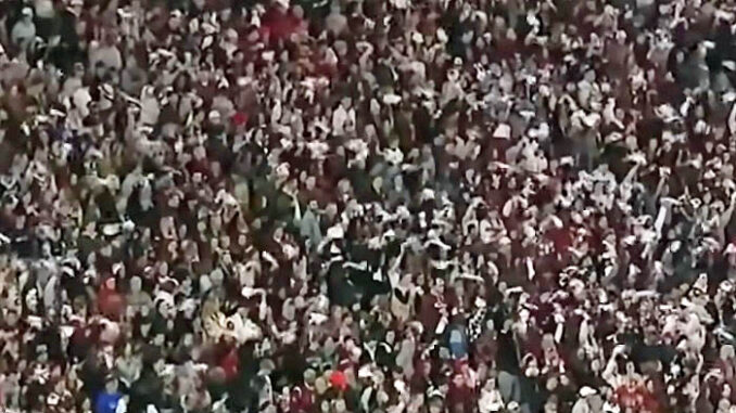 South Carolina fans