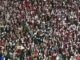 South Carolina fans