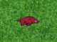 Arkansas