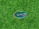 Florida