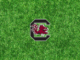 South Carolina
