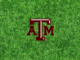 Texas A&M