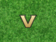 Vanderbilt logo