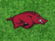 Arkansas Football