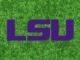 LSU Tigers