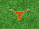 Texas logo